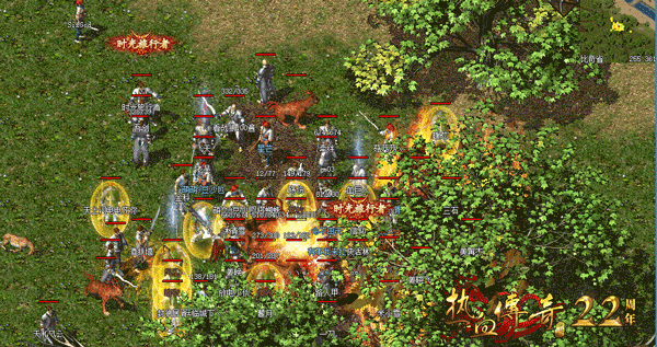 16643663108884.gif